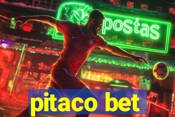 pitaco bet